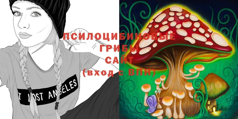 Галлюциногенные грибы Magic Shrooms  как найти закладки  Мегион 